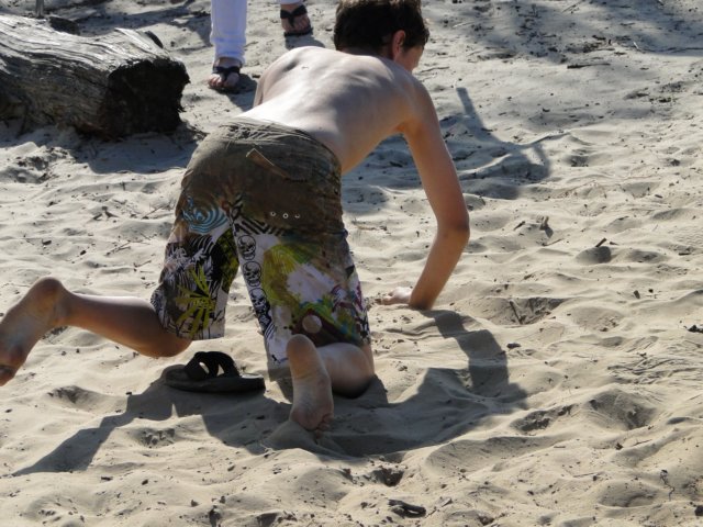 2011HWK 419.jpg